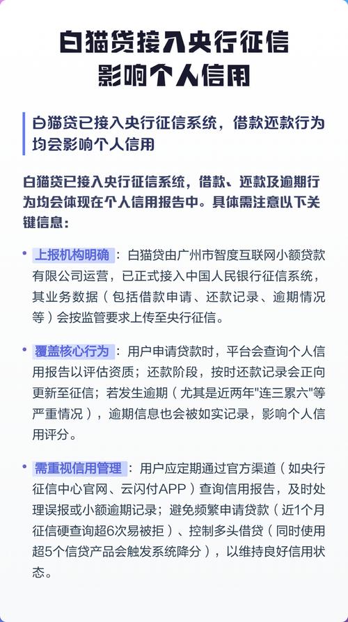 白猫贷接入央行征信,影响个人信用